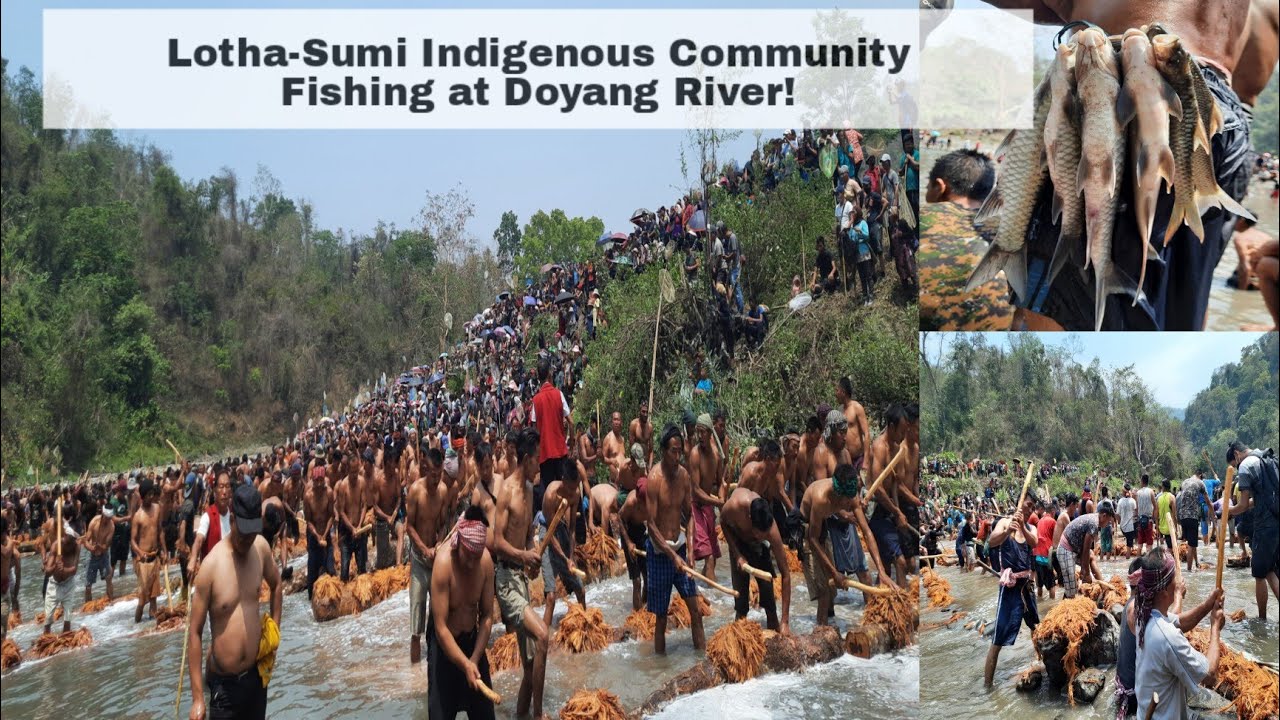 LOTHA-SUMI Naga Indigenous Community Fishing | Tsungiki-Philimi Community Fishing | Doyang River