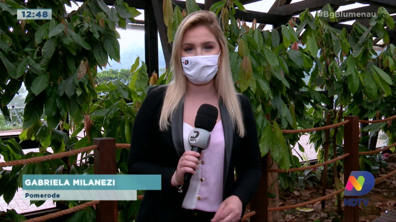 Casca de cacau é utilizada como adubo para plantas