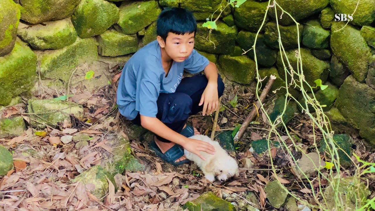 Puppy Rescue Deep in the Forest | Village Boy&rsquo;s Story