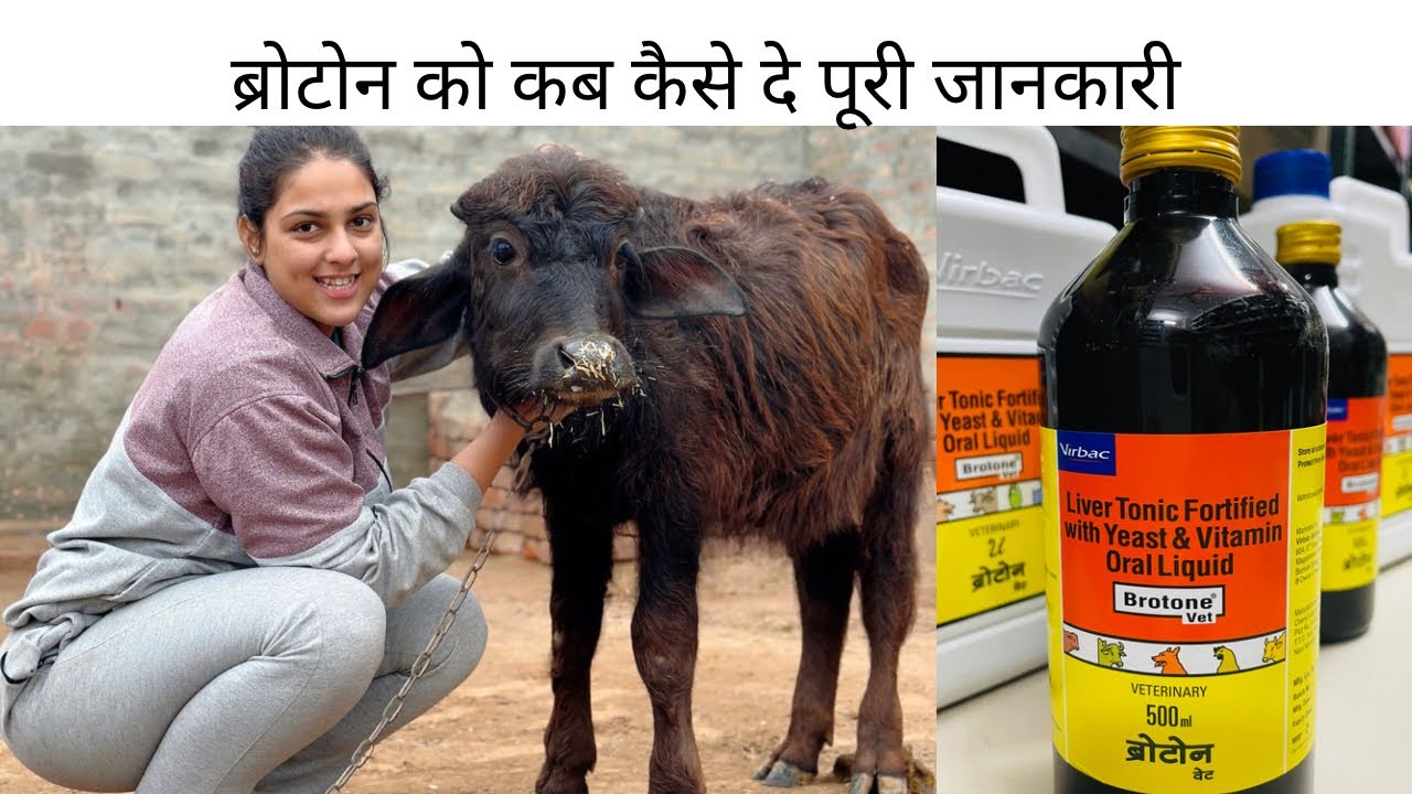 ब्रोटॉन सिरप की पूरी जानकारी brotone syrup complete knowledge