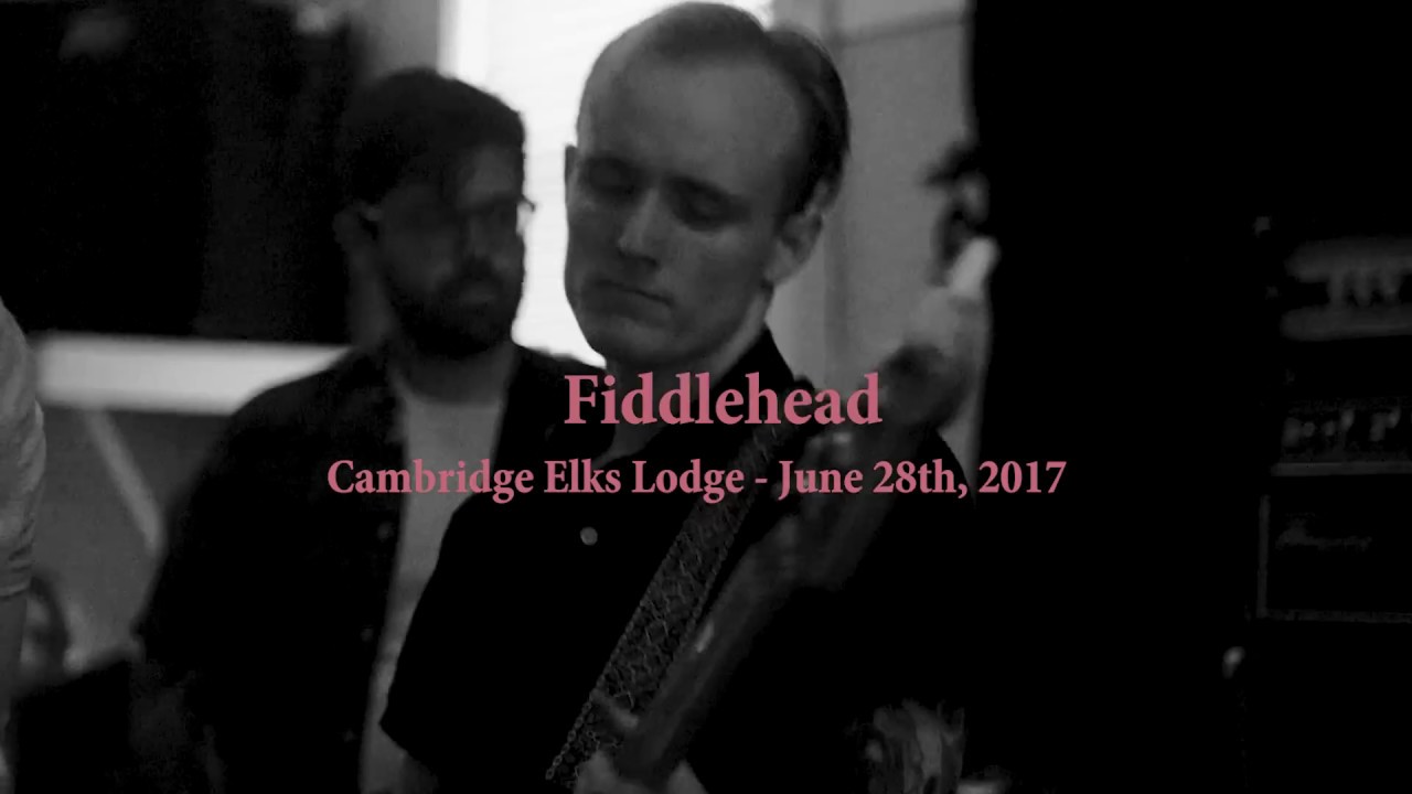 Fiddlehead - Cambridge Elks Lodge - June 28th, 2017