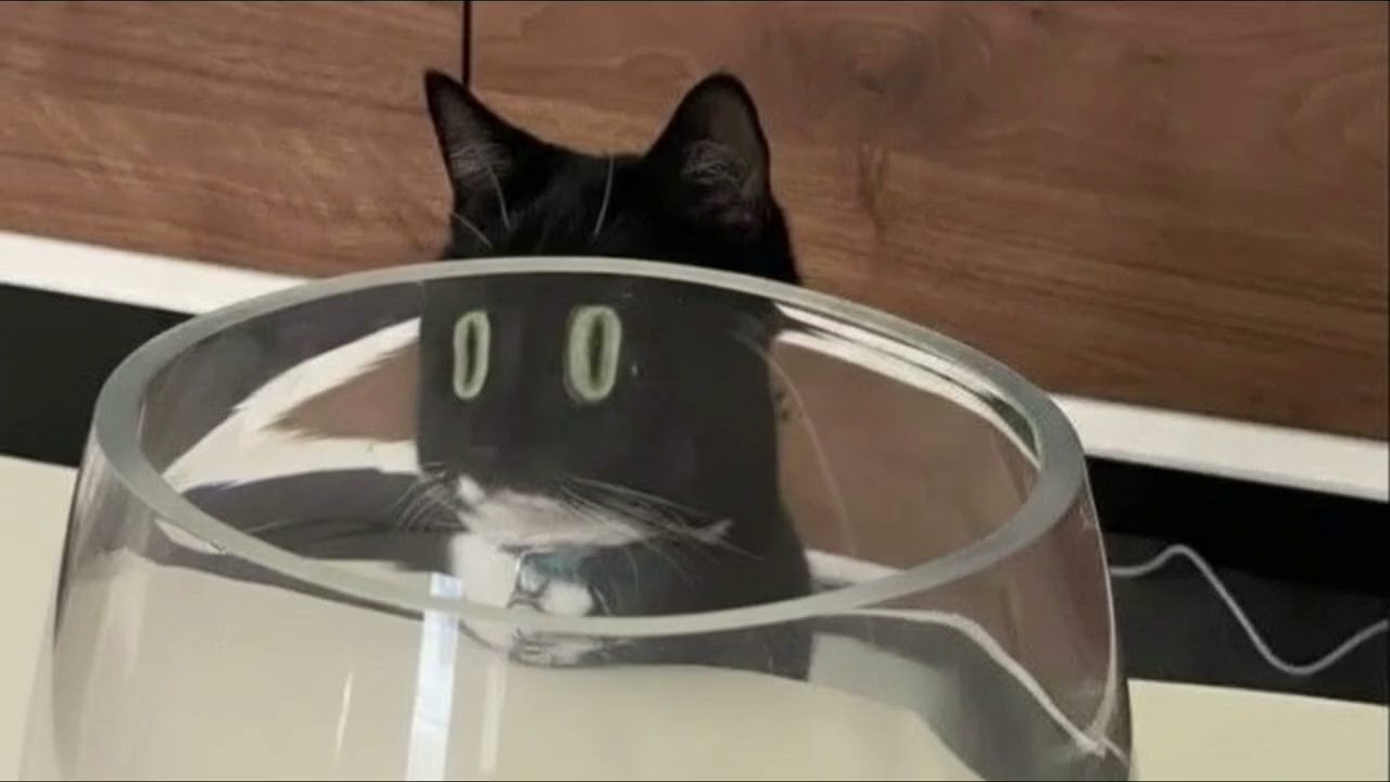 plαчlíst ﹅ 일요일 깜냥 클럽