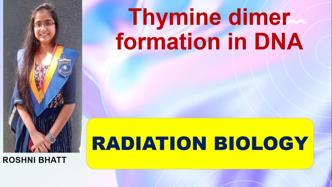 #Thymine dimer formation due to UV-B radiation