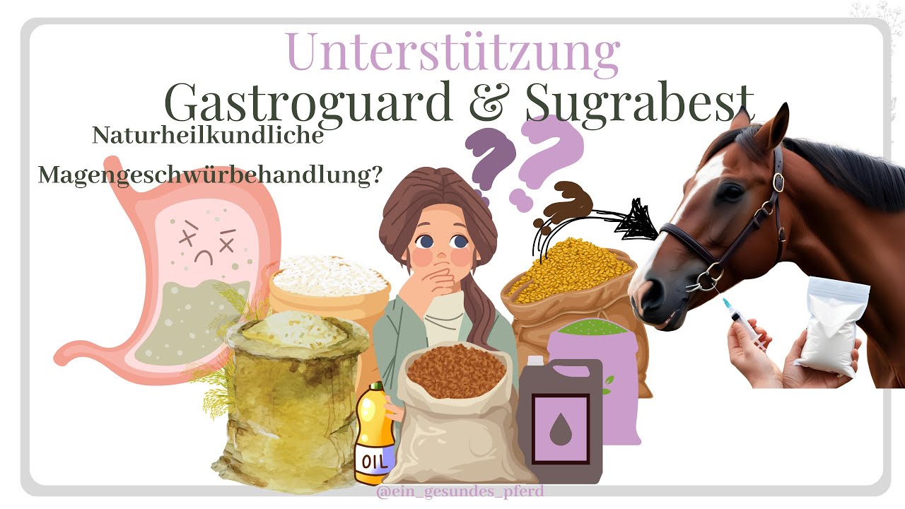 Magengeschwüre beim Pferd 🐴Ganzheitliche Behandlung mit GastroGard & Sugrabest & mit Naturheilkunde