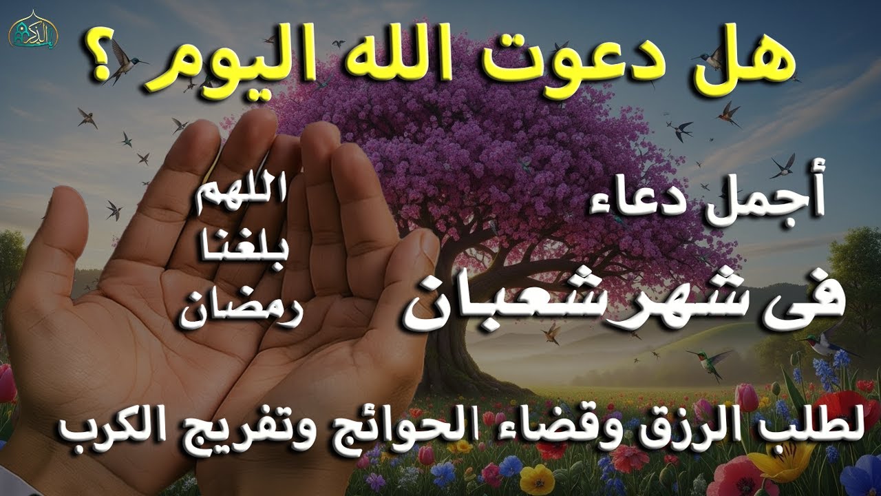 دعاء فى يوم الجمعه دعاء يوم 18 من شهر شعبان المبارك للرزق والشفاء العاجل وقضاء الحوائج بأذن الله 🤲