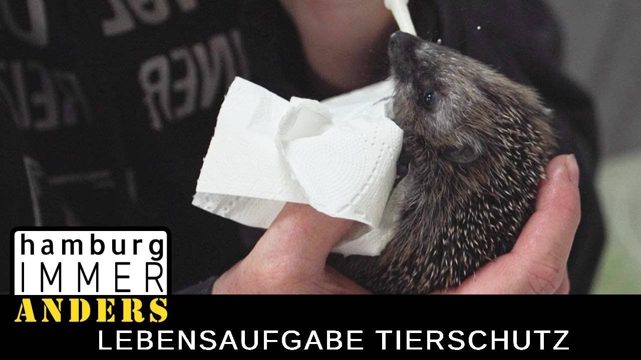 Ein Leben f&uuml;r den Tierschutz &ndash; Vanessa Haloui und der LOOKI e.V.