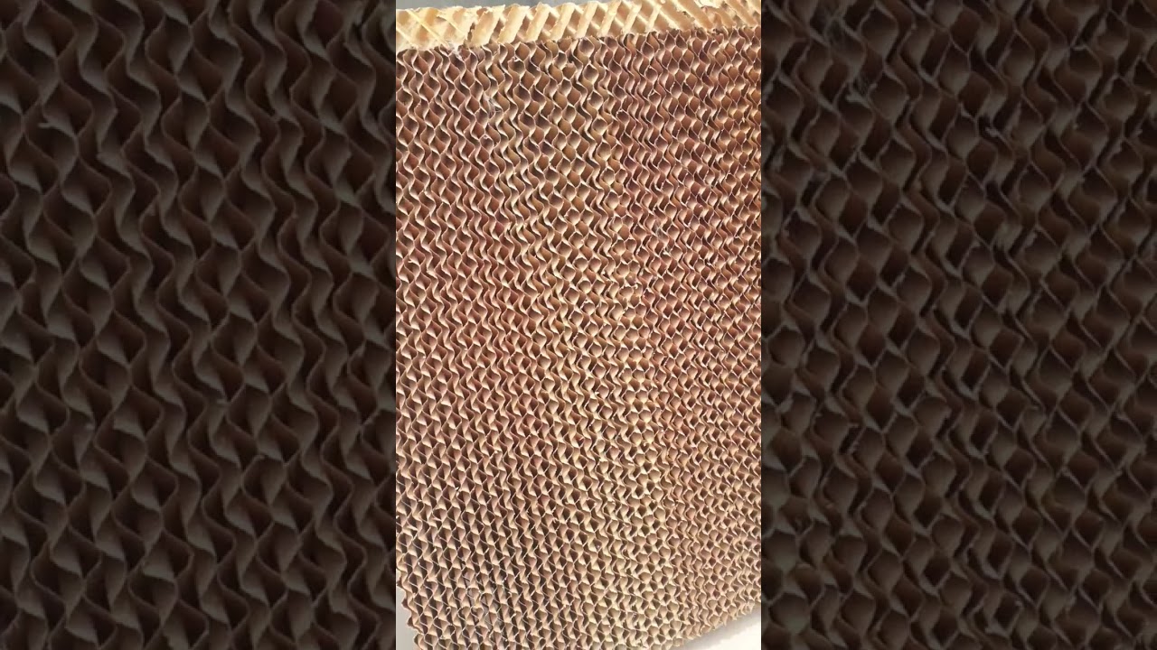 كيفية عمل الصحراوي بأقل كلفة