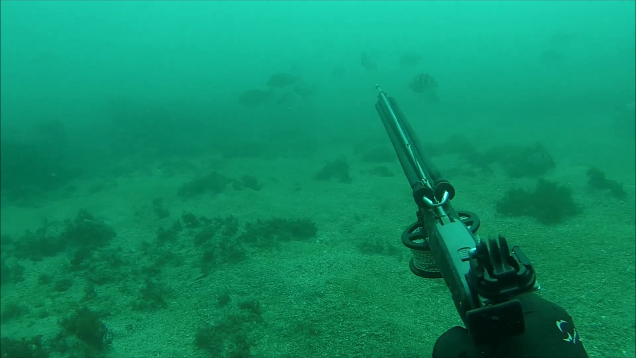 Pesca submarina en zahara , unos tiritos
