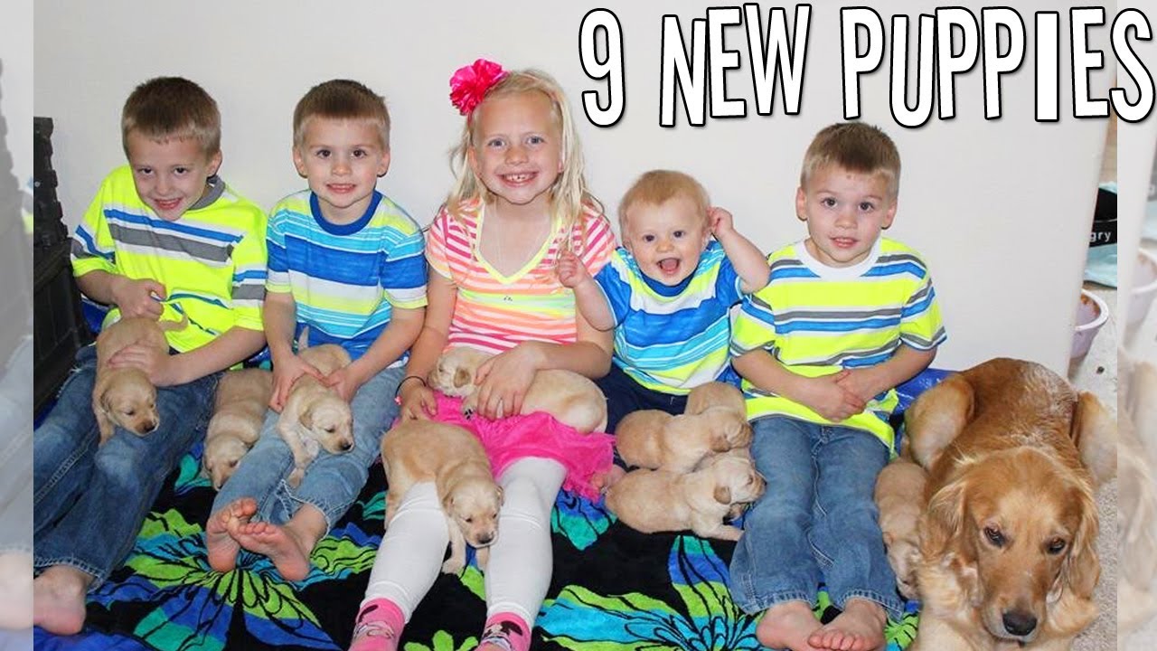 9 NEWBORN Puppies! SO CUTE!