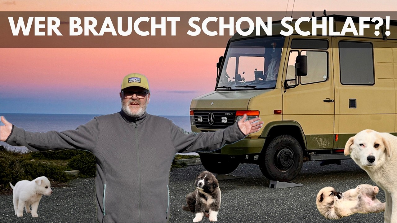 Vanlife mit 7 Hunden – Realität statt Romantik?  🐶🚐