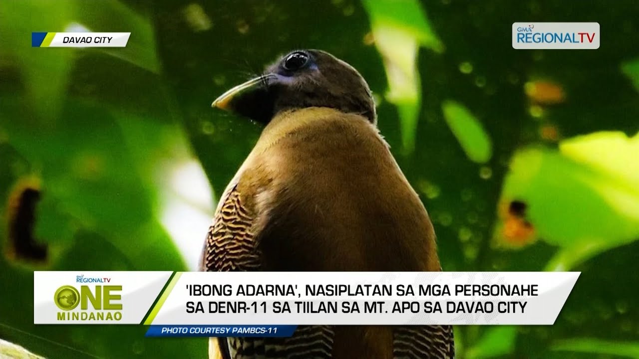 One Mindanao: Ibang Adarna
