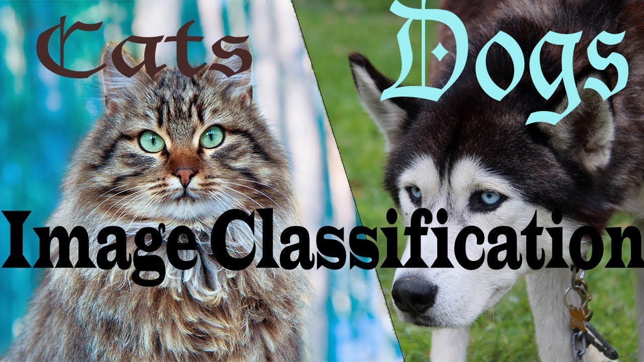 Image Classification in TensorFlow : Cats and Dogs dataset