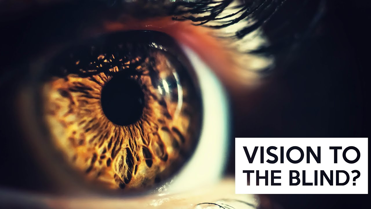 Can Science Bring Vision to the Blind?
