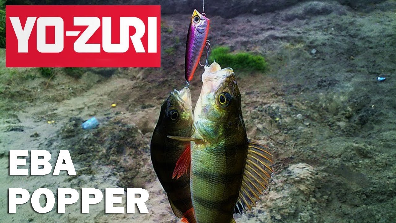 Воблер Yo Zuri Eba Popper