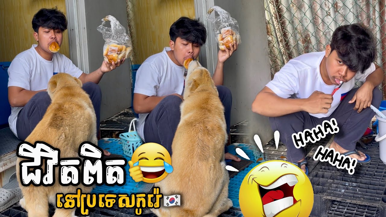 ជីវិតពិតចុងសប្តាហ៍នៅប្រទេសកូរ៉េ🇰🇷😂ពូចិត្រFunny