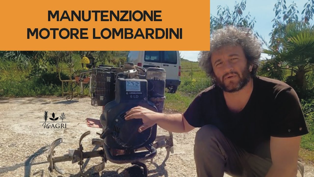 🛠️ Motore Lombardini 6 LD Tagliando Completo (o quasi)