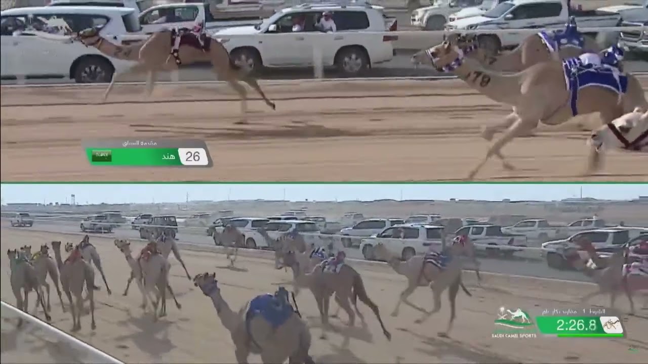 الشوط 1 مفاريد بكار رئيسي مساء يوم السبت 25-6-2022 من #سباق_المفاريد 2022