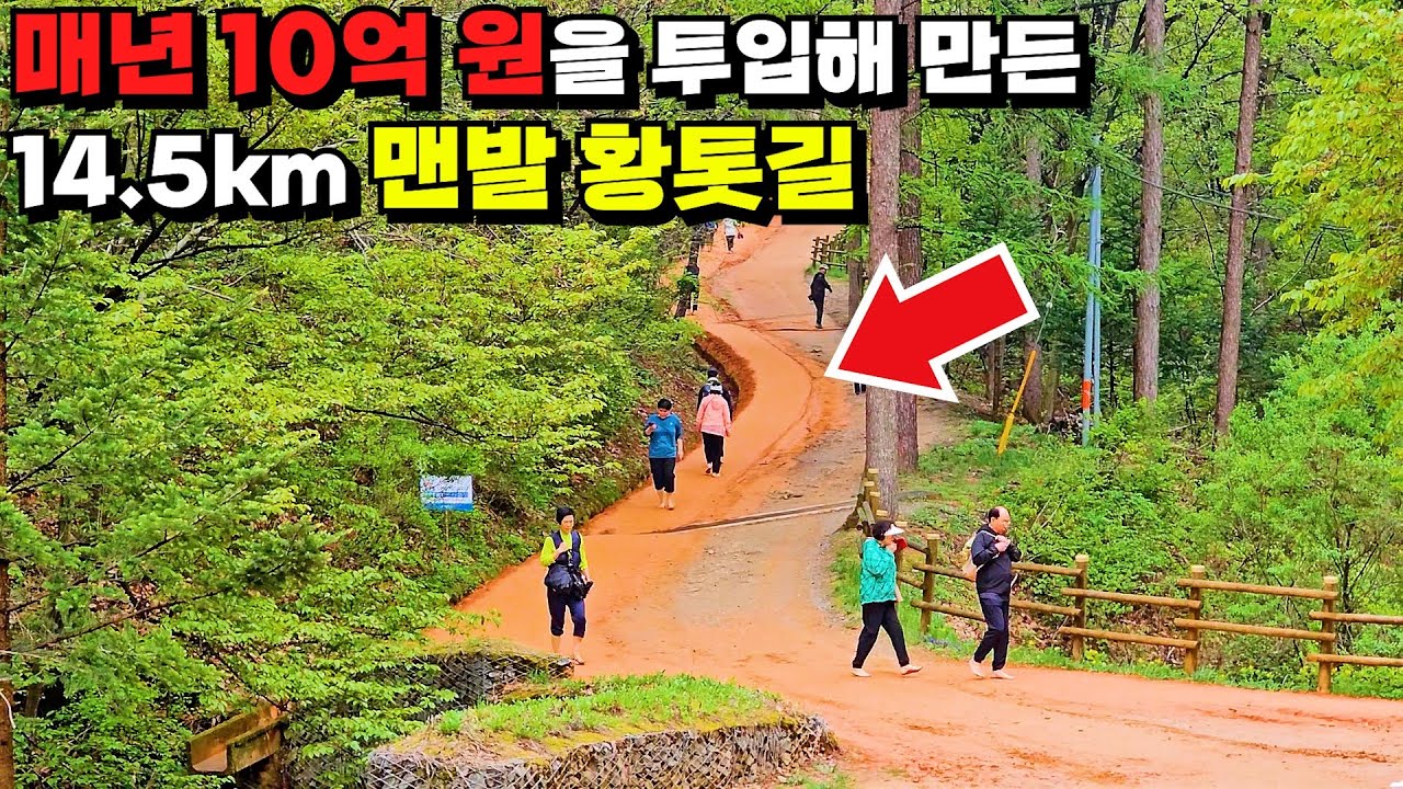 중소기업 회장님이 매년 10억 원을 쏟아부어 작정하고 만든 총 길이 14.5km 맨발 황톳길 | 무료로 입장할 수 있는 당일치기 기차 여행지 추천 | 국내 가볼만한 곳 | 대중교통