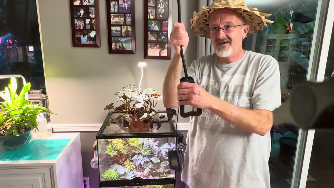 Светодиодный фитоламп Glowrium LED Grow Light-G8: демонстрация продукта