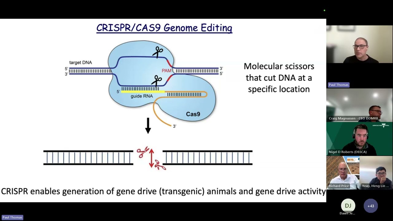 Rabbit R&D Webinar 2025 | Introduction to gene drive technology