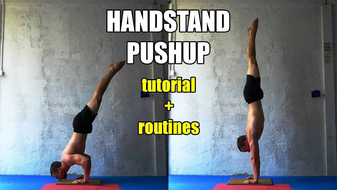 HANDSTAND PUSHUP | 4 BEST EXERCISES + Routines!