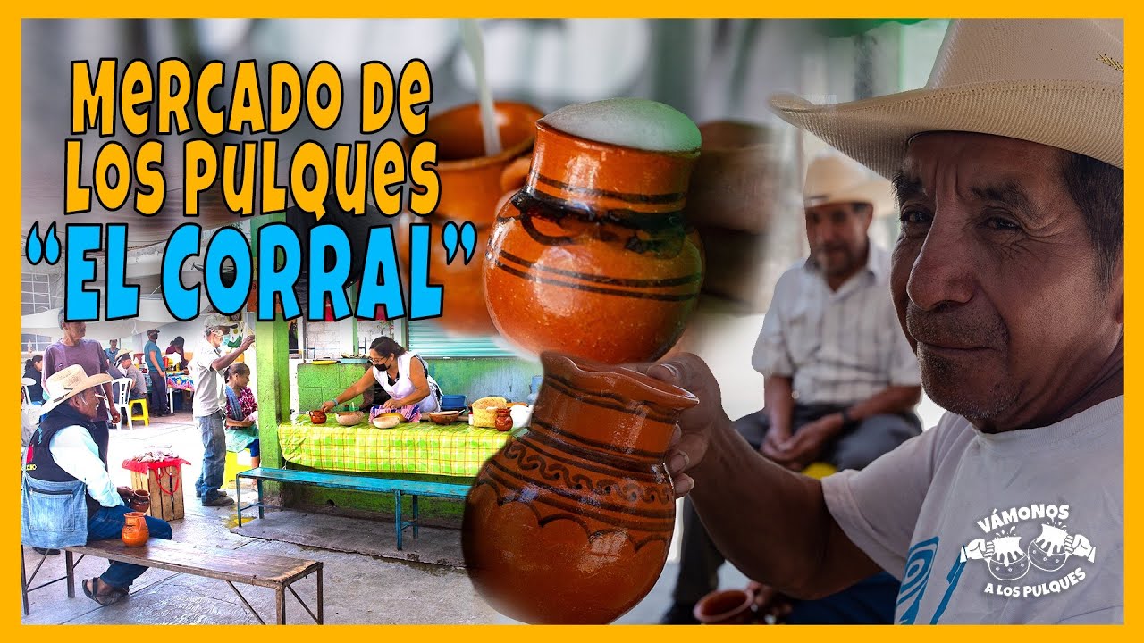 El Mercado del Pulque, Ixmiquilpan Hidalgo