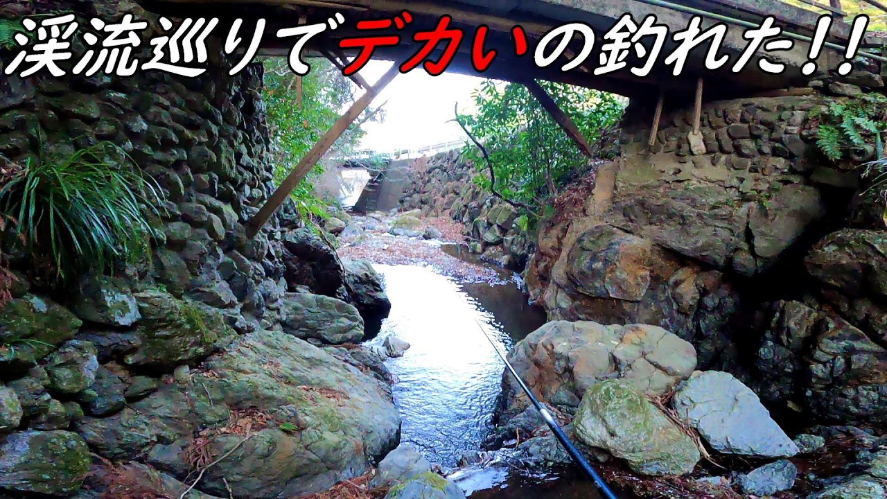 魚を求めて渓流巡り♪結構デカいの釣れました！！