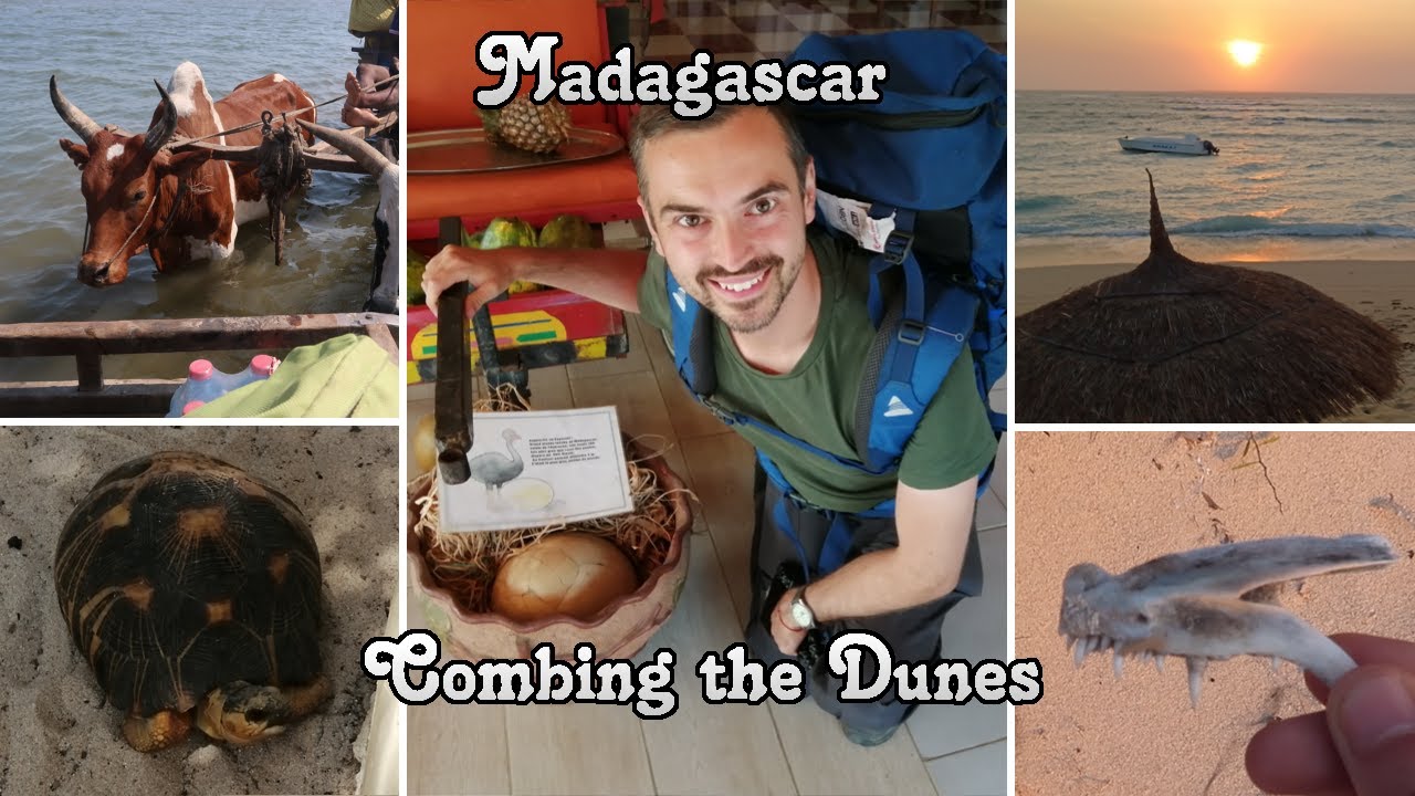 Madagascar. Exploring Anakao's sand dunes
