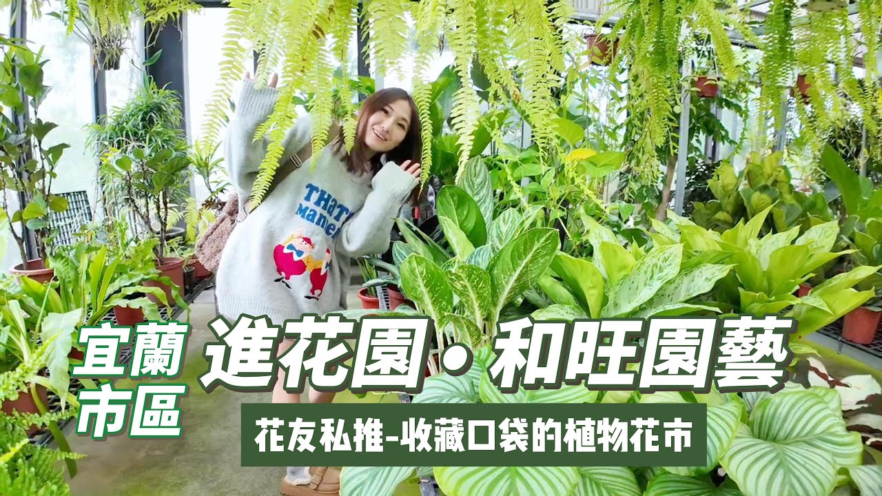 宜蘭市區-進花園 • 和旺園藝-說大不大但品相超多-花友推薦我來逛