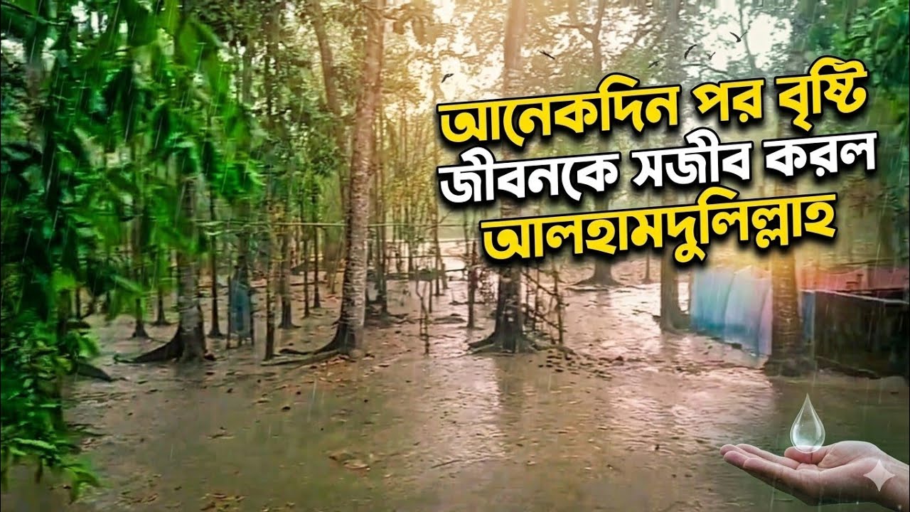 Rain original scene 