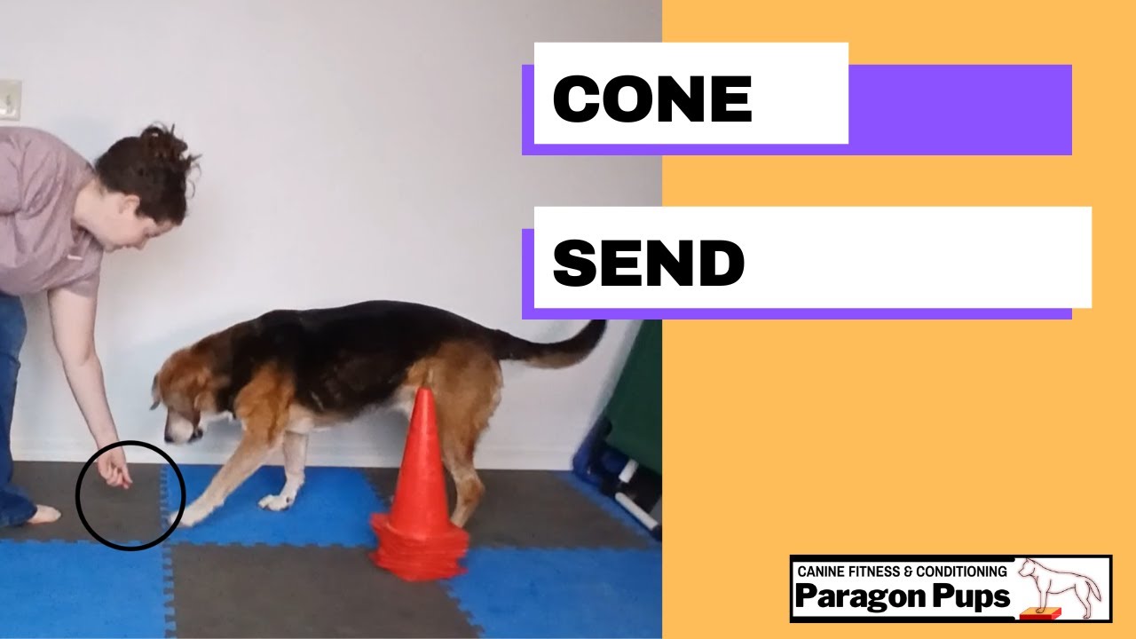 Cone Send