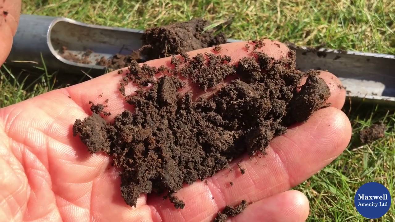 James Grundy discusses the effects of thatch