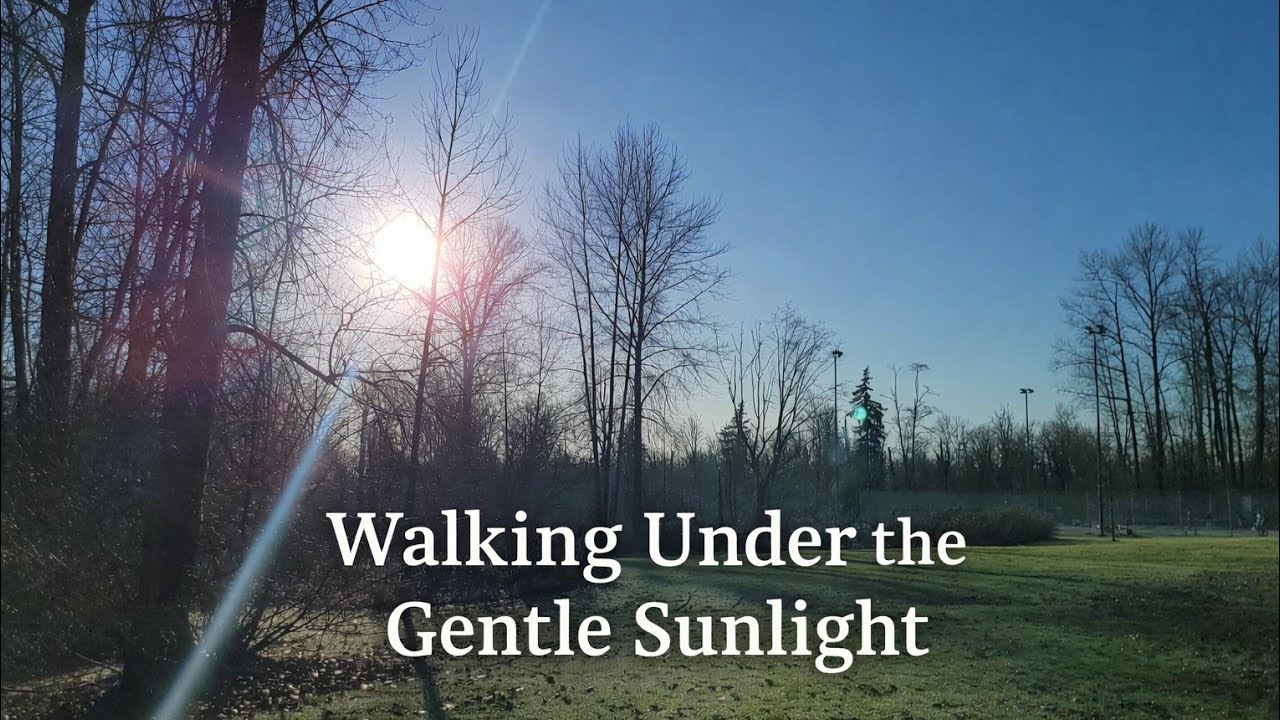 Enjoying a Winter Sun Walk in Vancouver#VancouverLife #WinterDay #SunshineWalk #EnjoyLife #