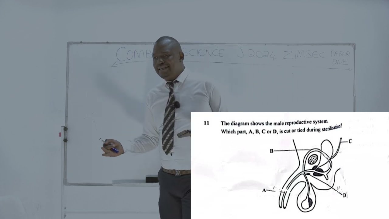 Combined Science J 2024 ZIMSEC Paper 1