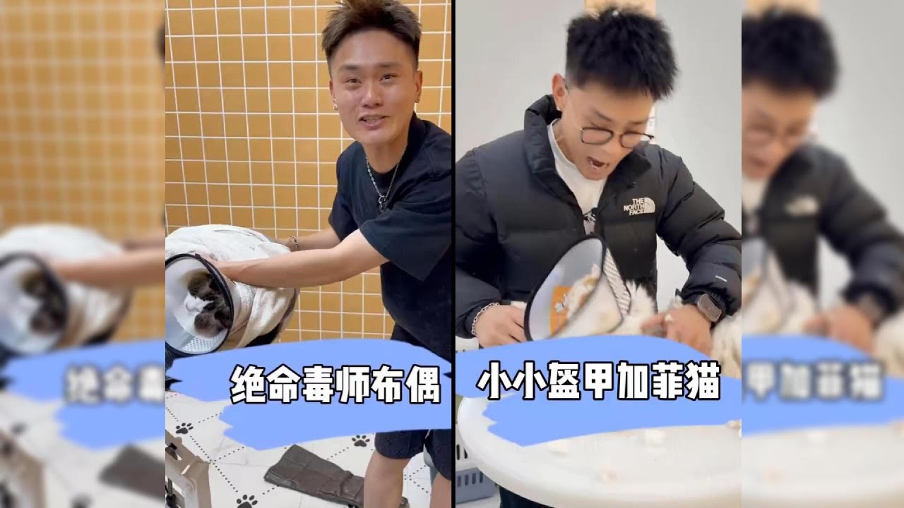 小小盔甲加菲猫