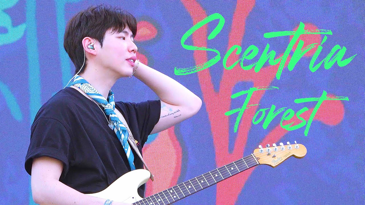 [4K] 250608 오월오일 - Scentria Forest (장태웅 Focus) | 2025 제 13회 무주산골영화제 @등나무운동장