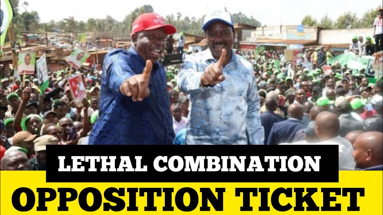 Ruto on HIGH ALERT MATIANG'I, Kalonzo ticket SOLIDIFIES in Murang'a and Othaya rallies 