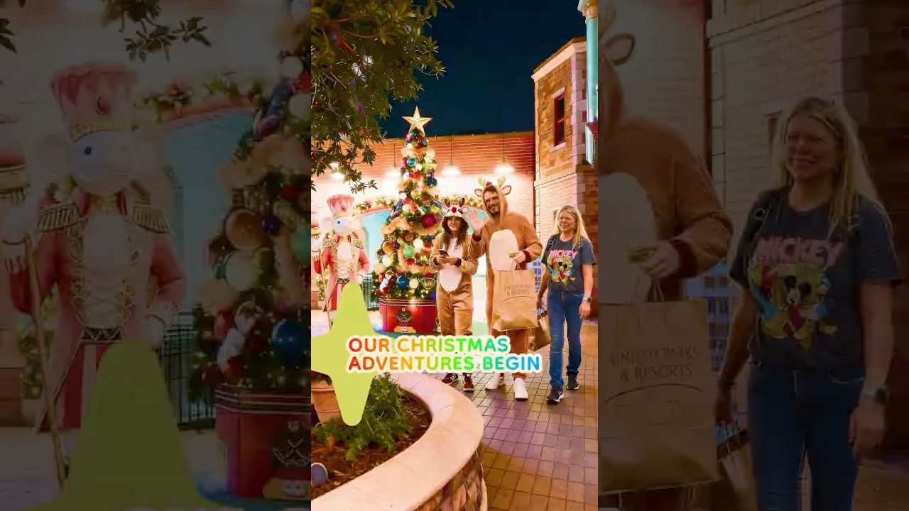 I hardly recognize SeaWorld with all the Christmas trees and lights   #seaworld #christmas #disney