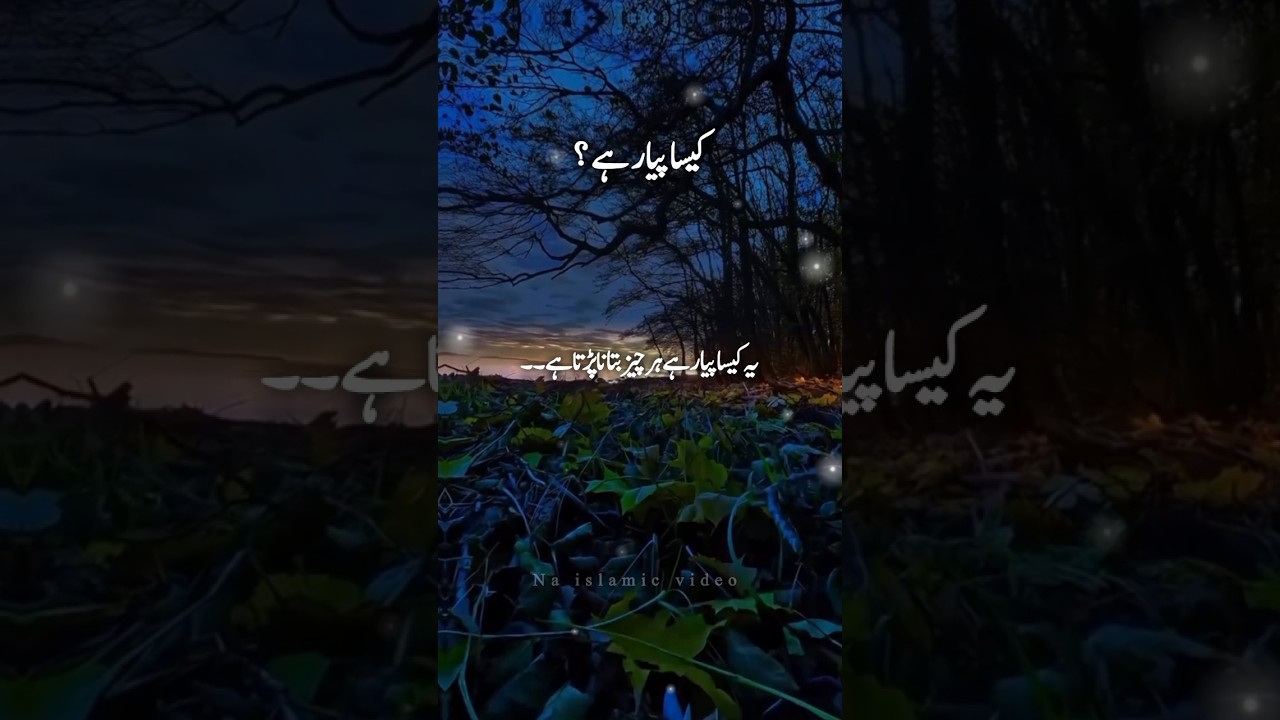 یہ کیسا پیار ہے ہر چیز بتانا پڑتا ہے #shorts#محبت #پیار