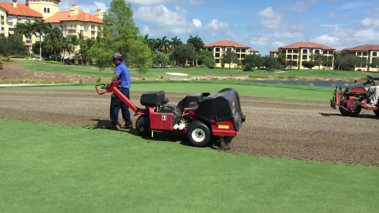 Tibur&oacute;n Golf Club Aerifying Greens
