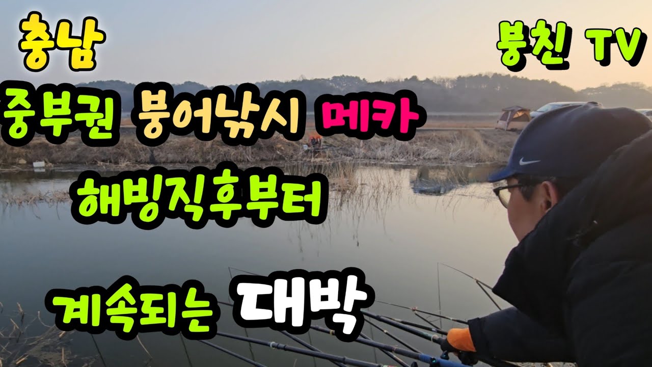 2602 충남 최고의 봄붕어터- 예년보다 빨리 터진 붕어 대박  #붕어낚시 #붕어 #산란기 #낚시 #붕어 #초봄낚시 #대박 #호황 #대호 #출포리 #조금리 