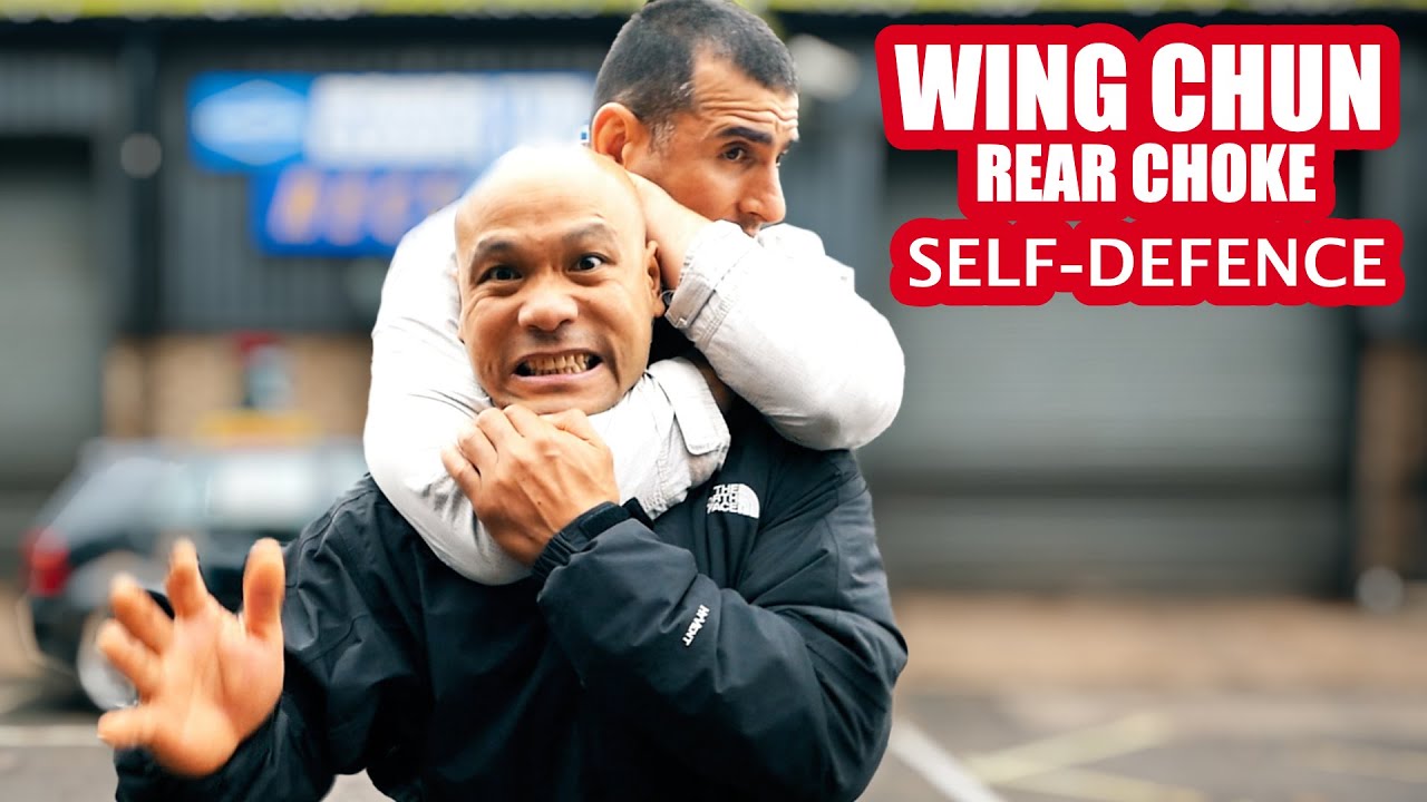 Standing Rear Choke Escape | Self Defence