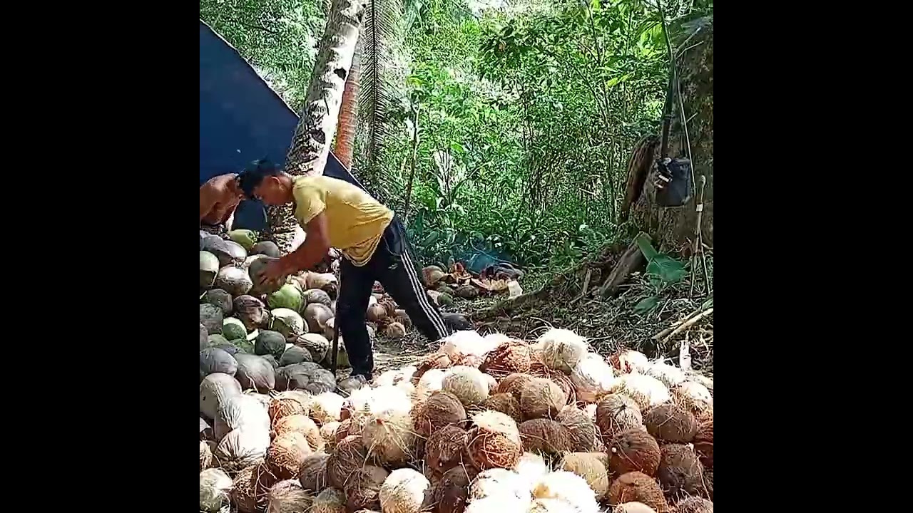 NAG BABALAT TAYO NANG LOBE 