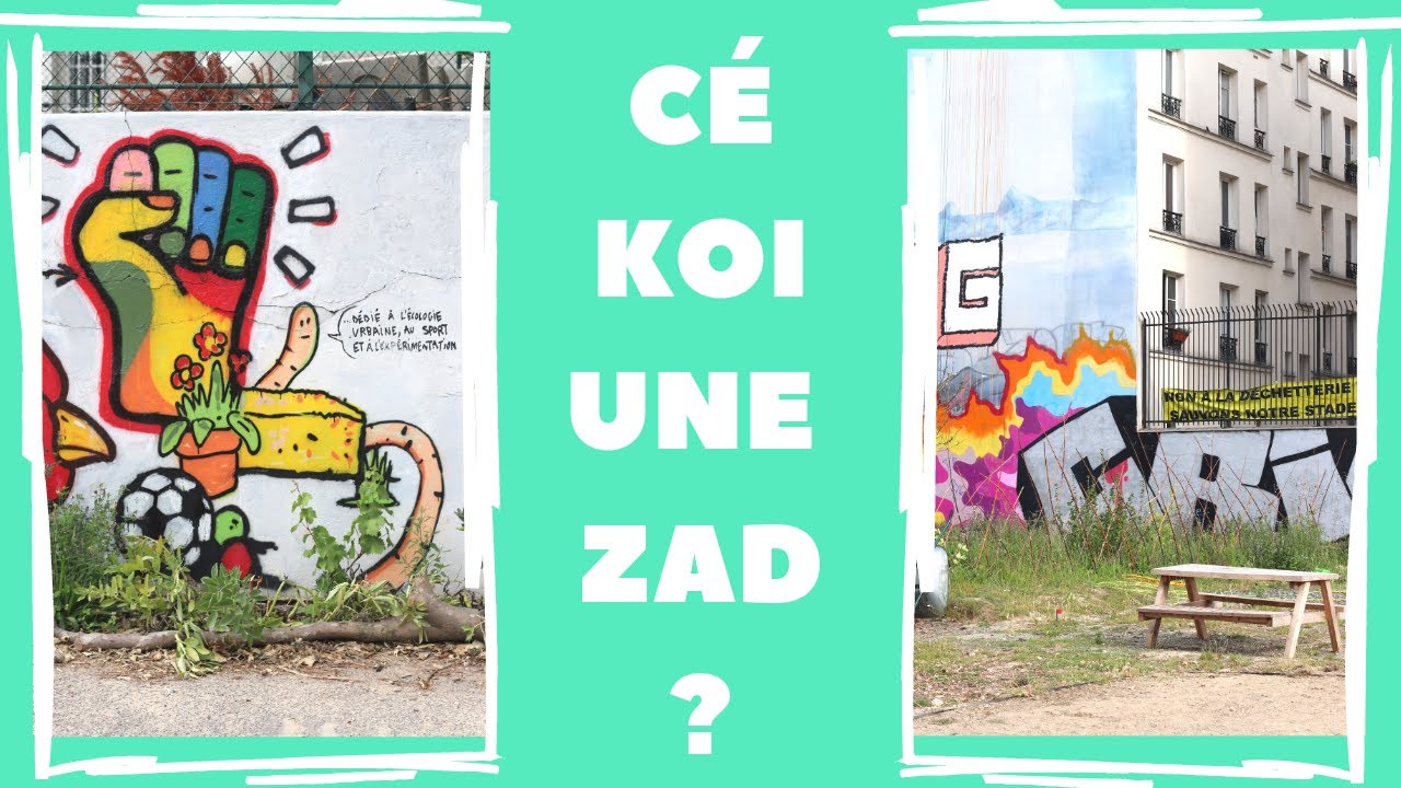C'EST QUOI UNE ZAD ?