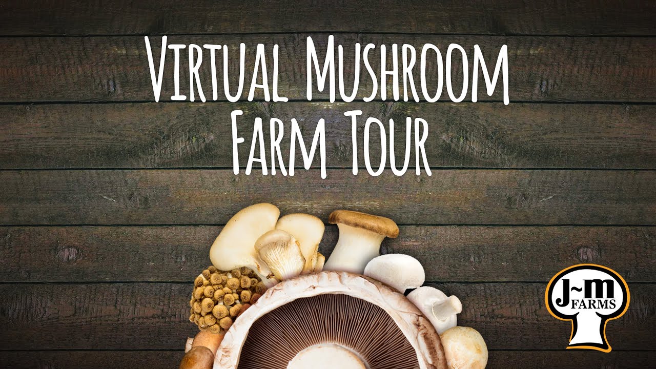 JM Farms - Virtual Mushroom Farm Tour
