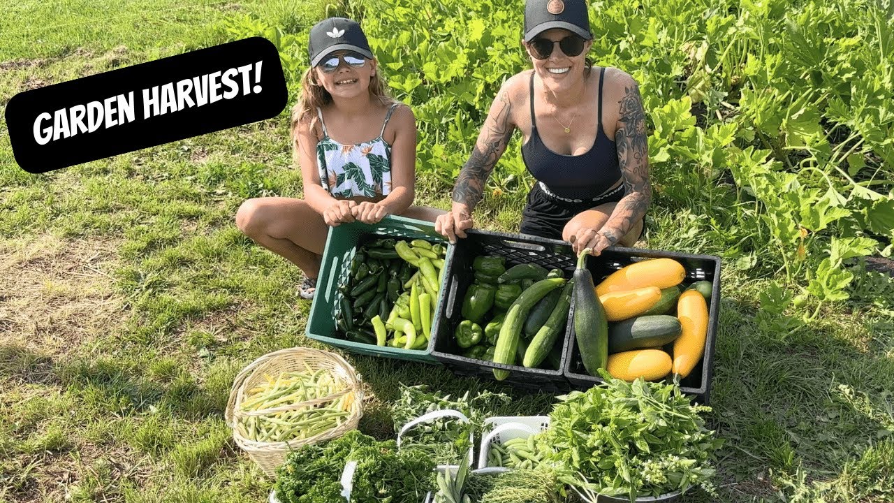 Садовый урожай | Приусадебный сад