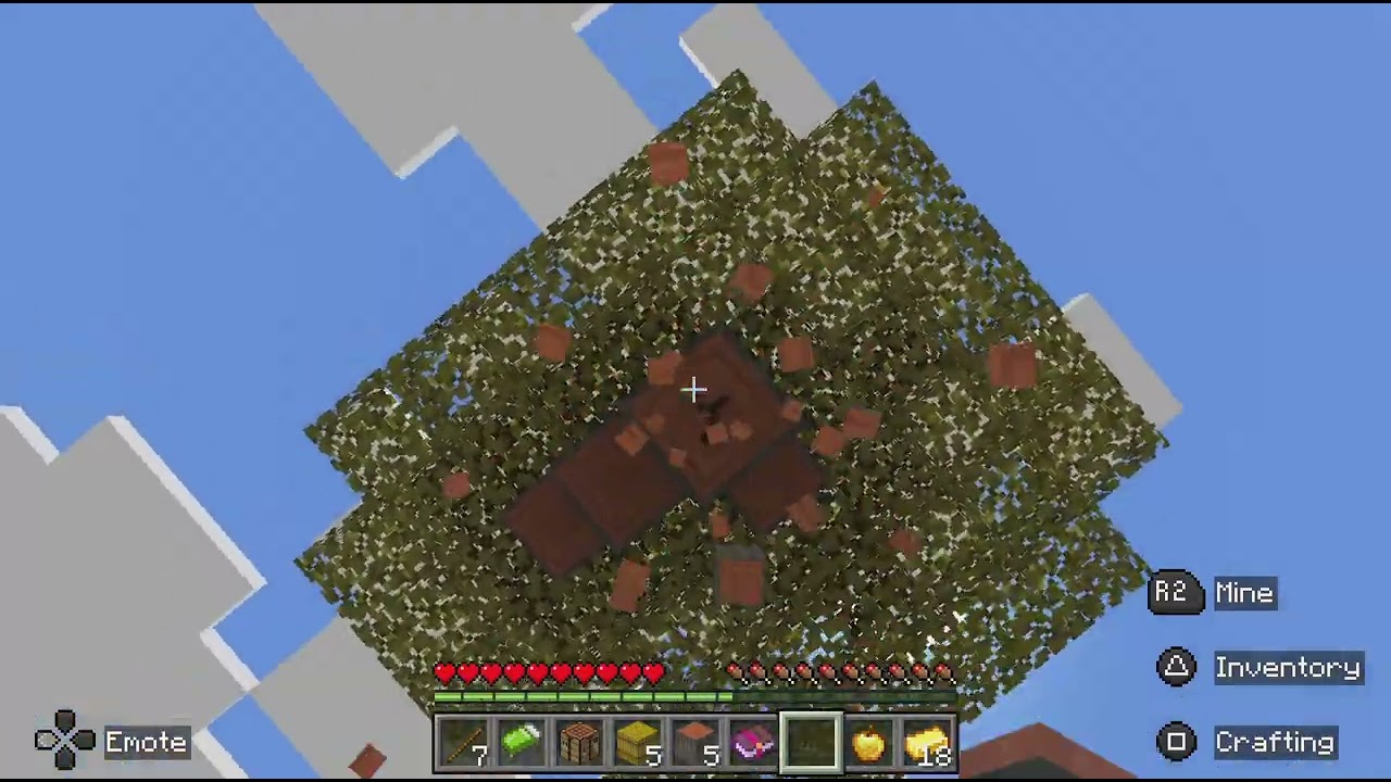 Minecraft_20260117173316