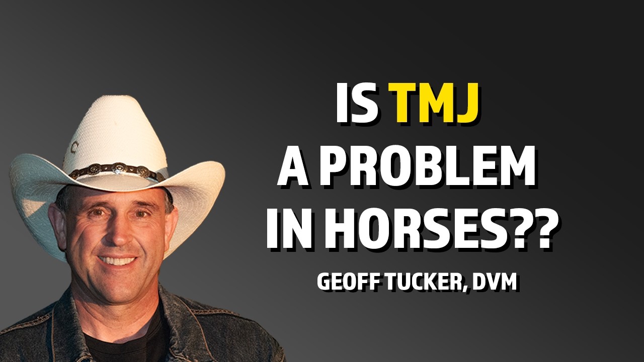 The TMJs Of Horses Are Not A Problem, But Our Thinking Of It Is - Geoff Tucker, DVM.