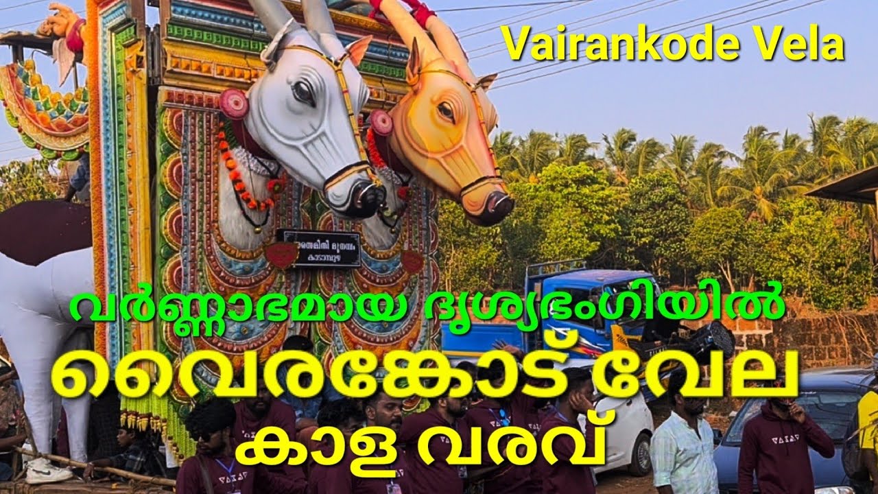 Vairankode Vela / Utsavam / Kala varavu | kala vela / വൈരങ്കോട് വേല | വൈരങ്കോട് ഉത്സവം | കാളവരവ്