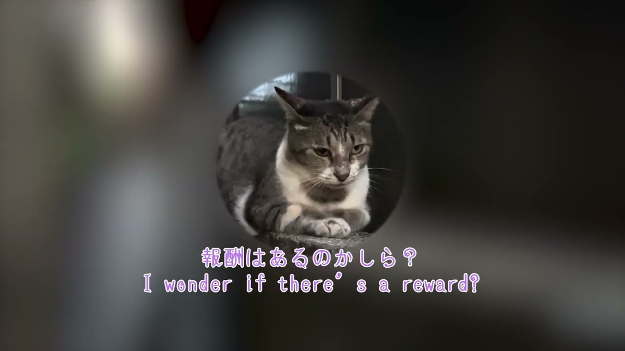 約一年ぶりの再会　Reunion after about a year